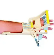 Dynamic Cockup Finger Extension Splint